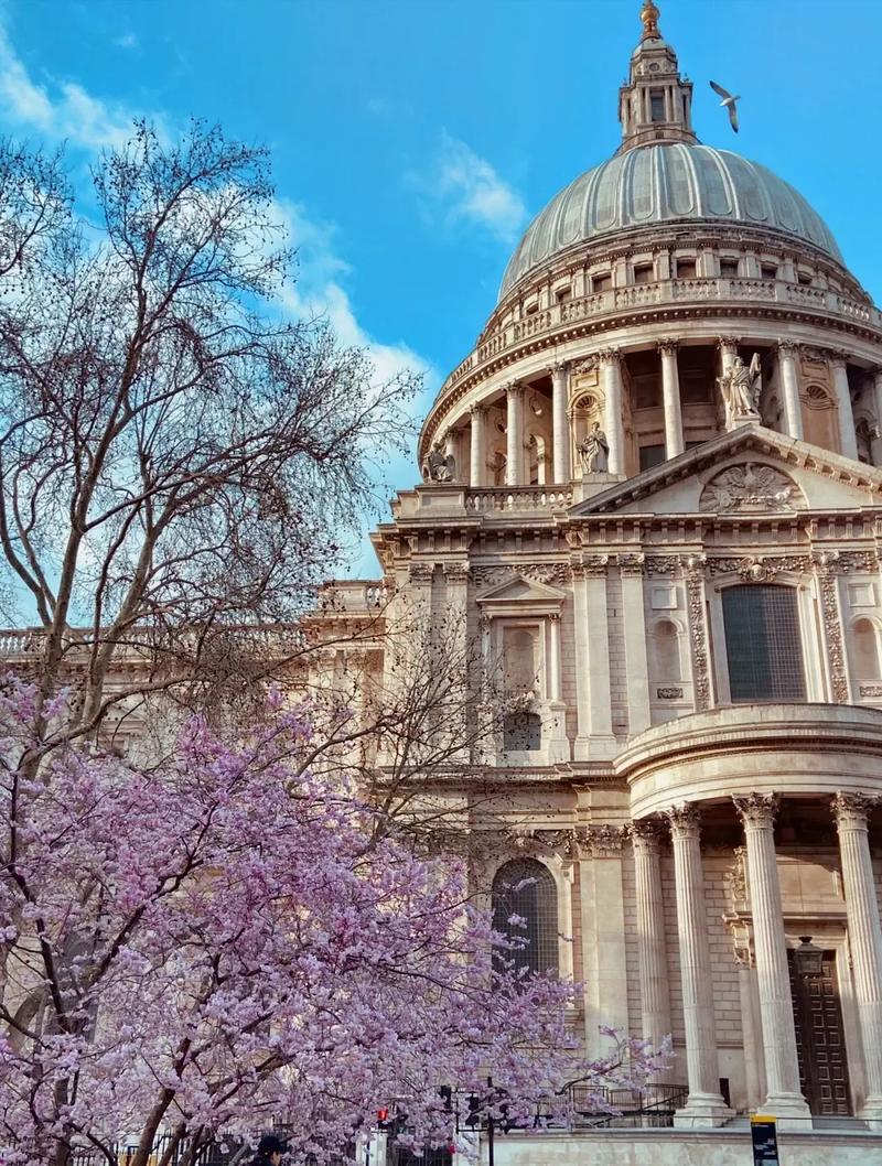 加州大学伯克利分校